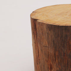 Tree Trunk Side Tables