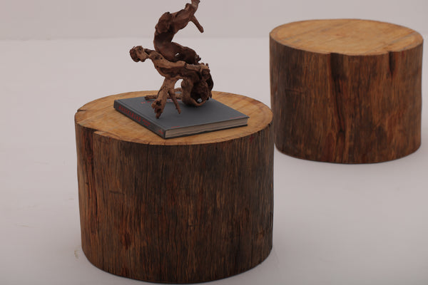 NATURAL LOG COFFEE TABLE