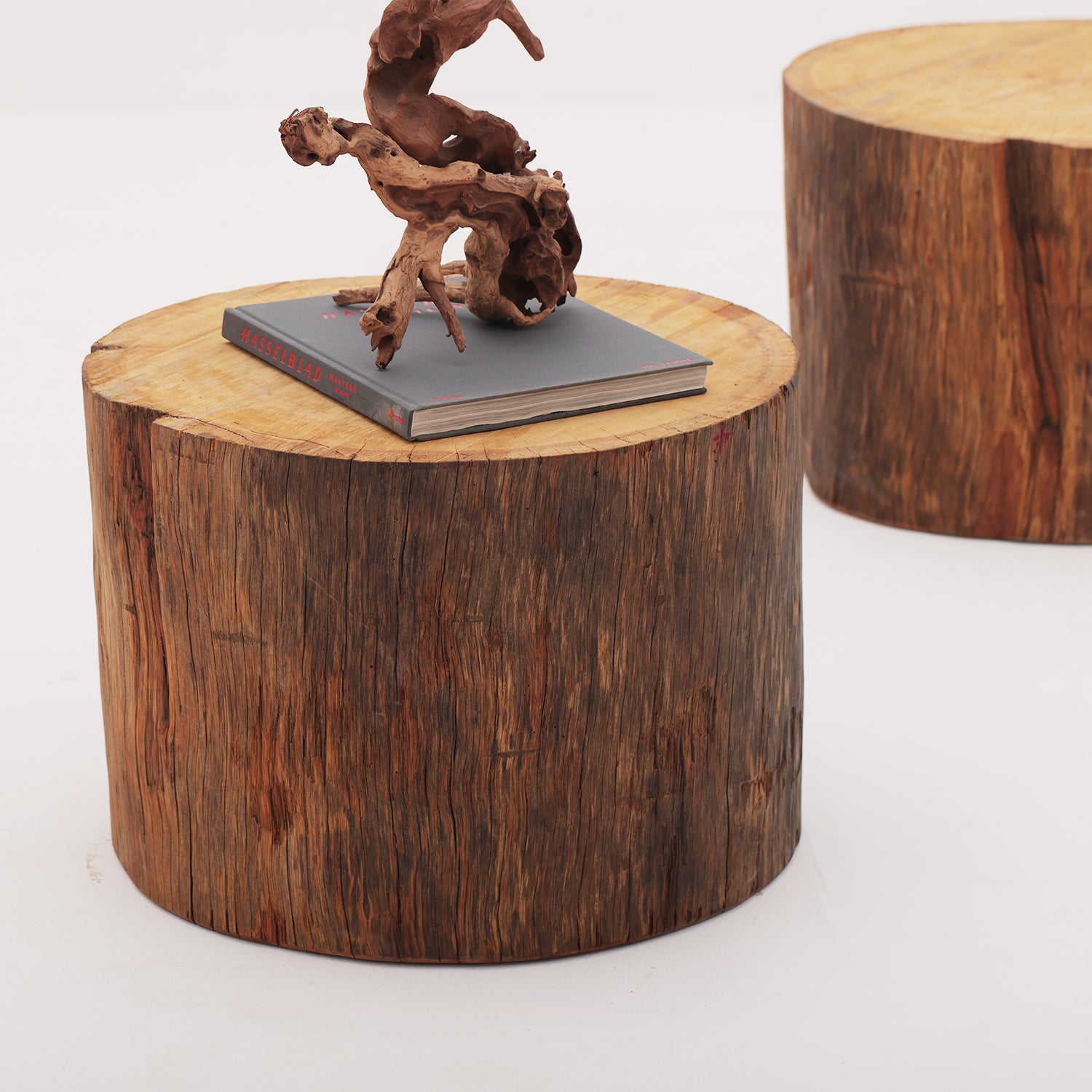 Tree Trunk Side Tables