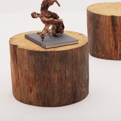 Tree Trunk Side Tables