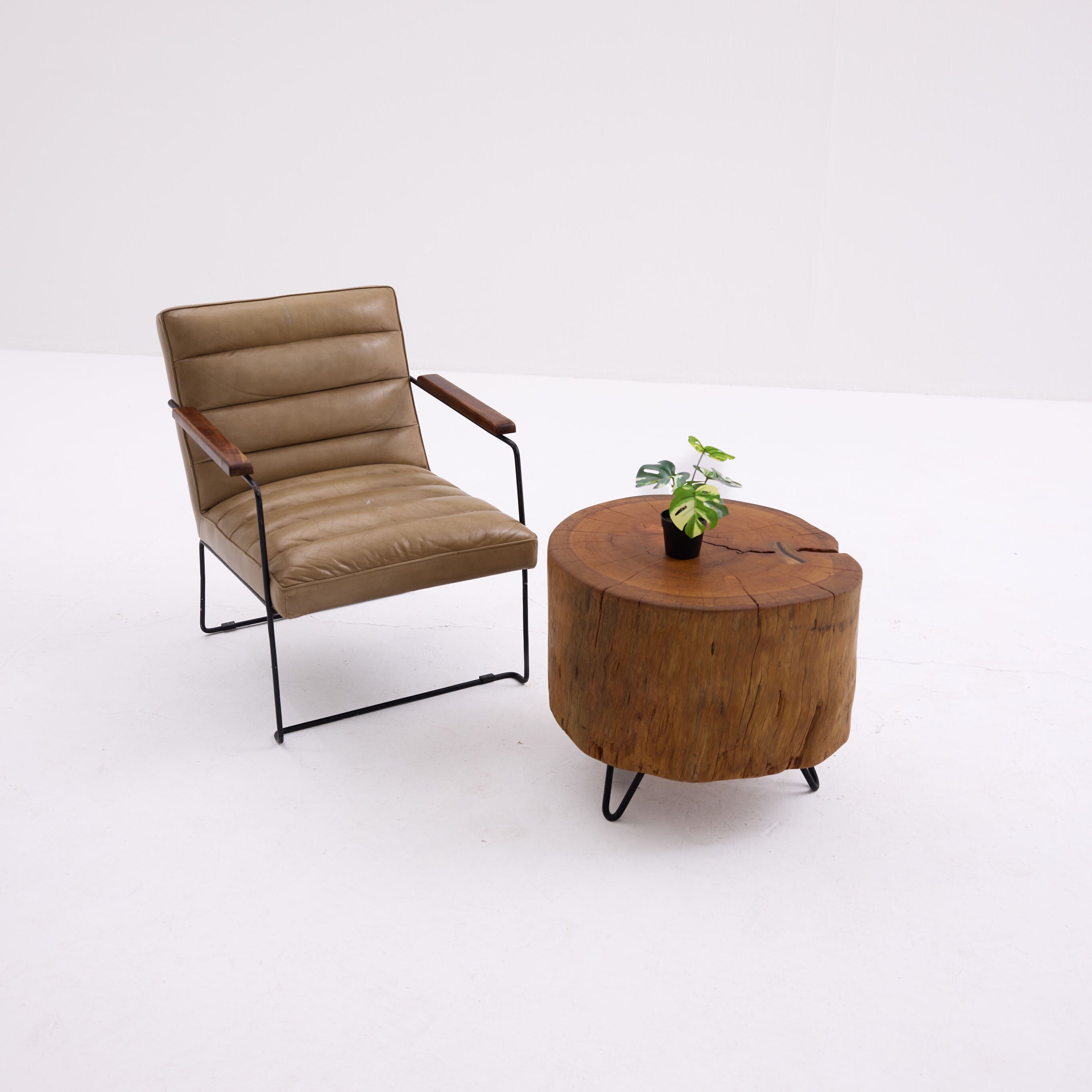 Log Round Coffee Table